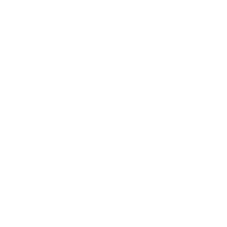 bot-2